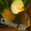 Discus56