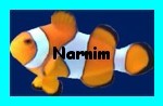 Narnim