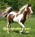 na chocolate ears