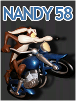 nandy58