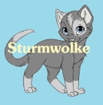 Sturmwolke