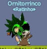 Ornitorrinco