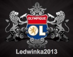 Ledwinka2013