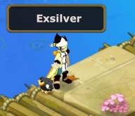 exsilver