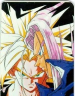 Trunks13