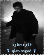 قلب ساجد