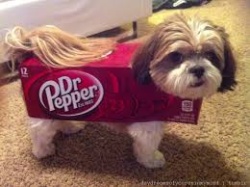 Dr Pepper