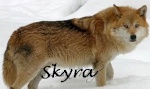 Skyra