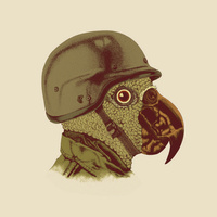 Captain_Parrot