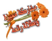 لا تغــــــــــــــــــــــــــــــــــــــــــــرق 3228224384