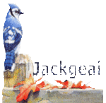 jackgeai2