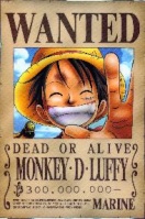 Monkey D Luffy