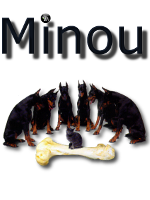 Minou