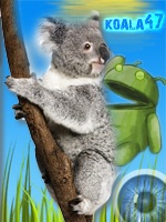koala47