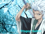 hitsugaya