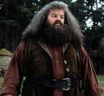 Hagrid