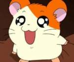 Hamtaro