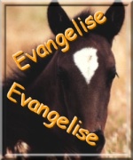 Evangelise