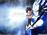 vegeta95