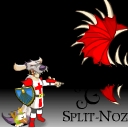 Spilt-Noz