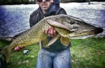 Linstable Street Fishing