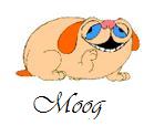 Moog