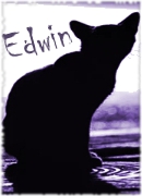 Edwin