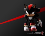 Hedgehog Black Shadow 1