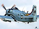 skyraider205