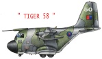 tiger58