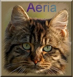 Aeria