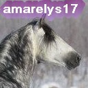 amarelys17