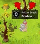 brinboo