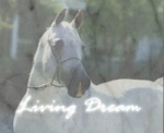 Living Dream