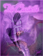 iris_coccinella