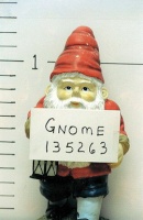 magnome