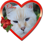 Caline25