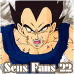 Sens-Fans-22