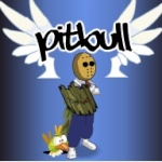 Pitbull