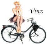 vinz