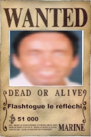 flashtogue