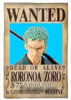 Zoro¤Killeur