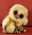 Hibou