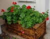 IDEES DECO JARDIN 4810