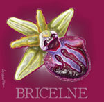 bricelne