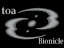 Toa-Bionicle