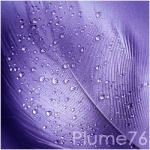 Plume76