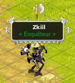 Zkiil