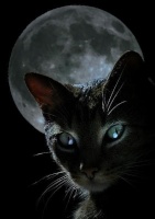 MoonKit