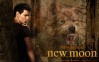 Taylor Lautner Jacobb10